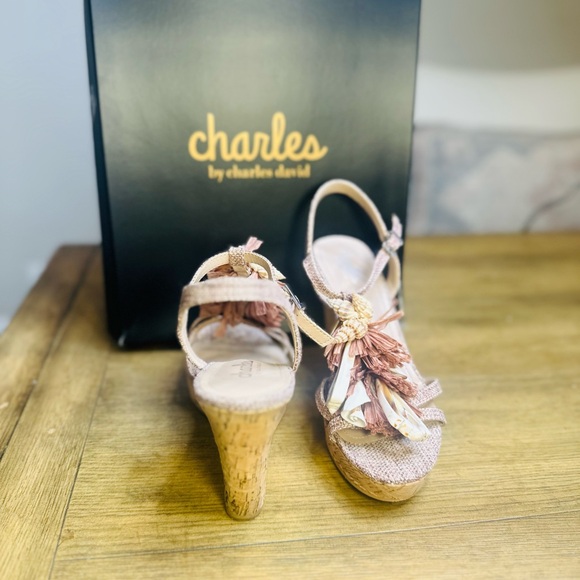 Charles David La Jolla Dark Blush Floral Raffia T-strap Wedge Platform Sandal - Picture 7 of 7